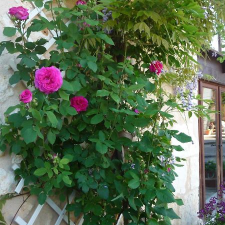 PonteyraudLes Tuileries住宿加早餐旅馆 外观 照片